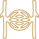 ليزر إزالة الشعيرات الدموية بالوجه والساقين