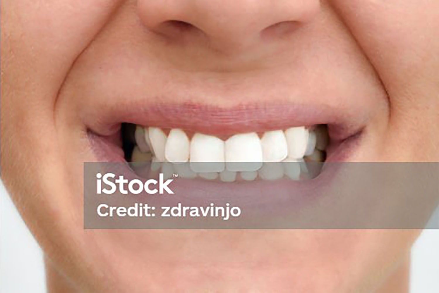 Mojave desert in the dark