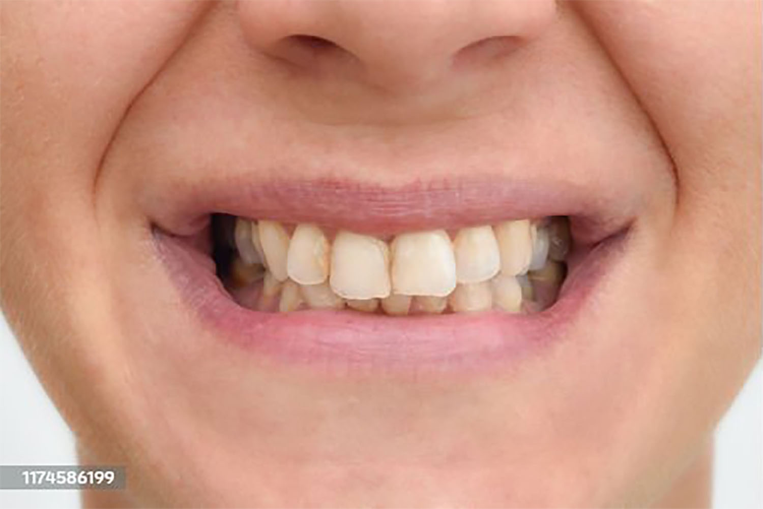 Mojave desert in the sun